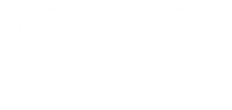 Pezzuto's Excavating